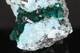 Dioptase Crystals In Shattackite - Congo #175957-4